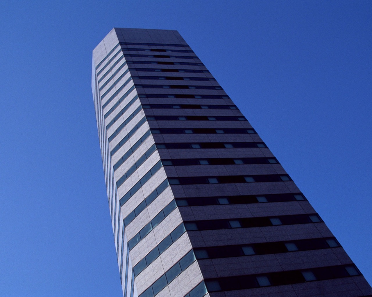 91