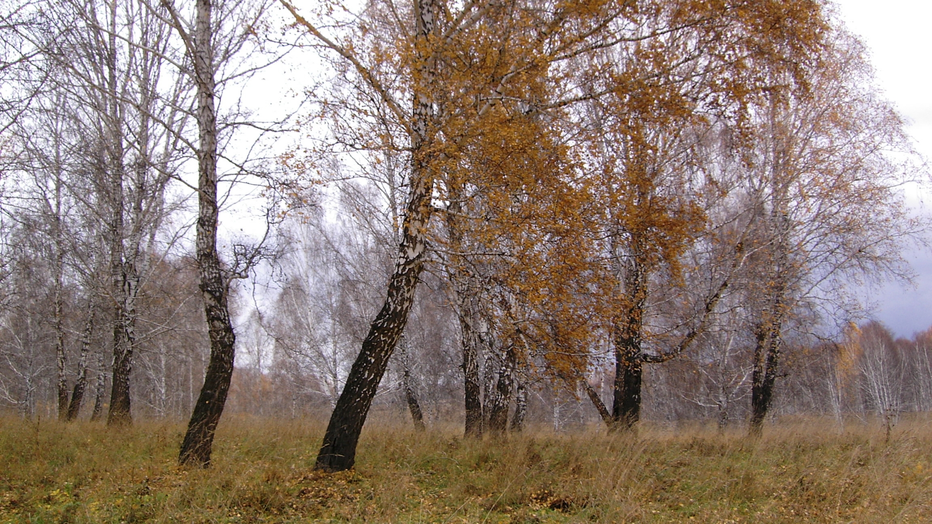 99