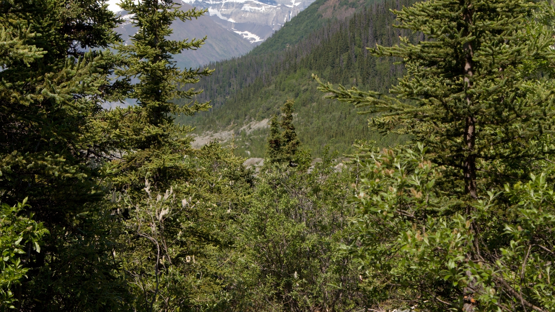 102