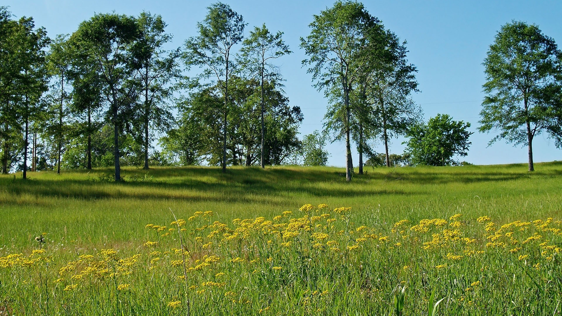 103