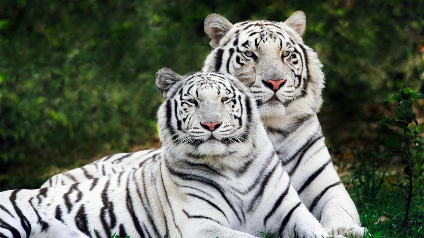 137