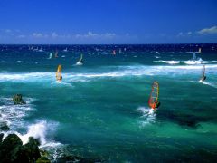 Tapeta maui-windsurfers-.jpg