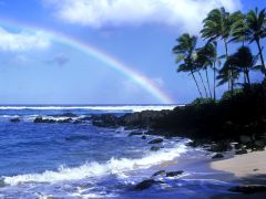 Tapeta rainbow-over-shore.jpg