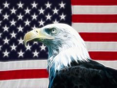 Tapeta american-eagle.jpg